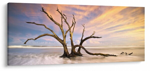 Slika drevesa v oceanu (120x50 cm)