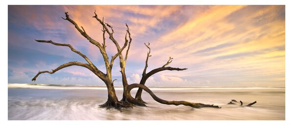 Slika drevesa v oceanu (120x50 cm)