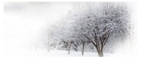 Slika - Zimska ulica (120x50 cm)