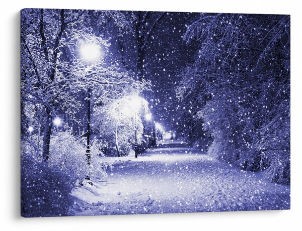 Slika - Čarobna zimska noč (70x50 cm)