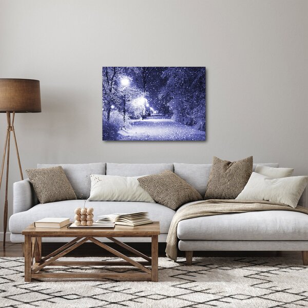 Slika - Čarobna zimska noč (70x50 cm)