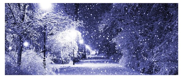 Slika - Čarobna zimska noč (120x50 cm)