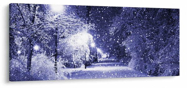 Slika - Čarobna zimska noč (120x50 cm)