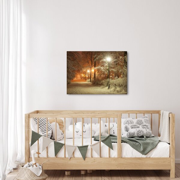 Slika - Snežni park (70x50 cm)