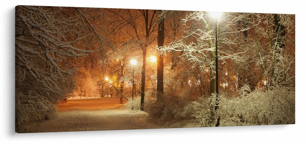 Slika - Snežni park (120x50 cm)