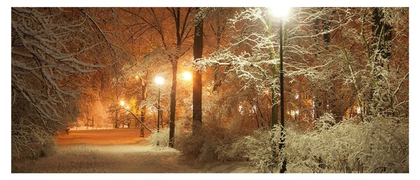 Slika - Snežni park (120x50 cm)