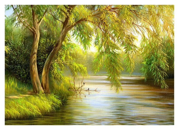 Slika - Vrba ob jezeru, oljna slika (70x50 cm)
