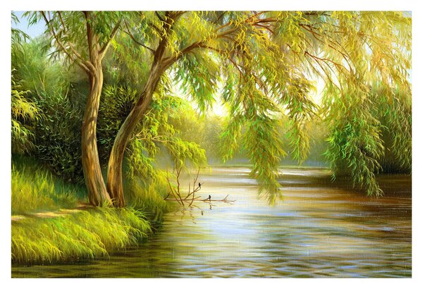 Slika - Vrba ob jezeru, oljna slika (90x60 cm)