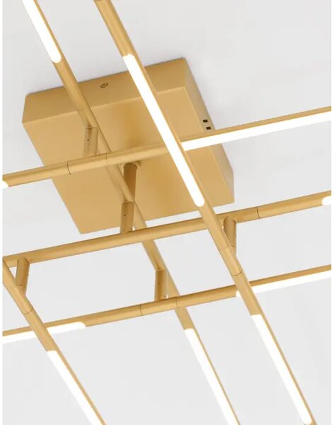 RACCIO PLAFONSKA SVJETILJKA LED 50W/3000K/2438lm/DIMM/IP20/MESING ZLATNA NL9180713