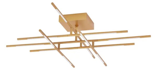 RACCIO PLAFONSKA SVJETILJKA LED 50W/3000K/2438lm/DIMM/IP20/MESING ZLATNA NL9180713