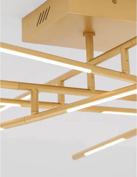RACCIO PLAFONSKA SVJETILJKA LED 50W/3000K/2438lm/DIMM/IP20/MESING ZLATNA NL9180713