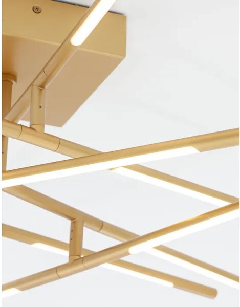 RACCIO PLAFONSKA SVJETILJKA LED 50W/3000K/2438lm/DIMM/IP20/MESING ZLATNA NL9180713