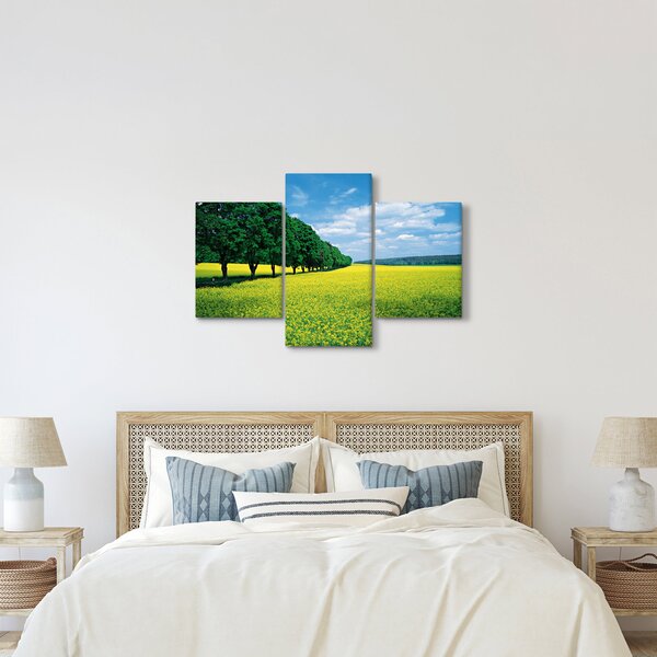 Slika polja z alejo (90x60 cm)