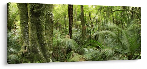 Slika tropskega deževnega gozda (120x50 cm)