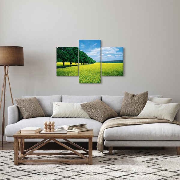 Slika polja z alejo (90x60 cm)