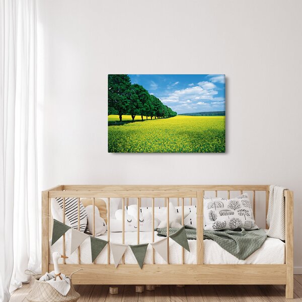 Slika polja z alejo (90x60 cm)