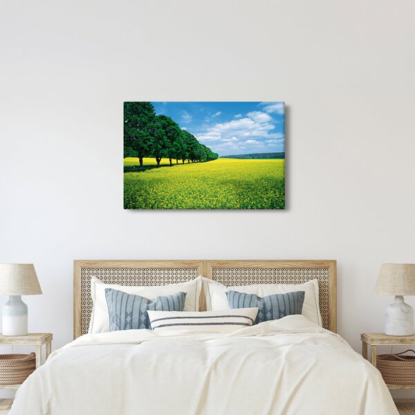 Slika polja z alejo (90x60 cm)