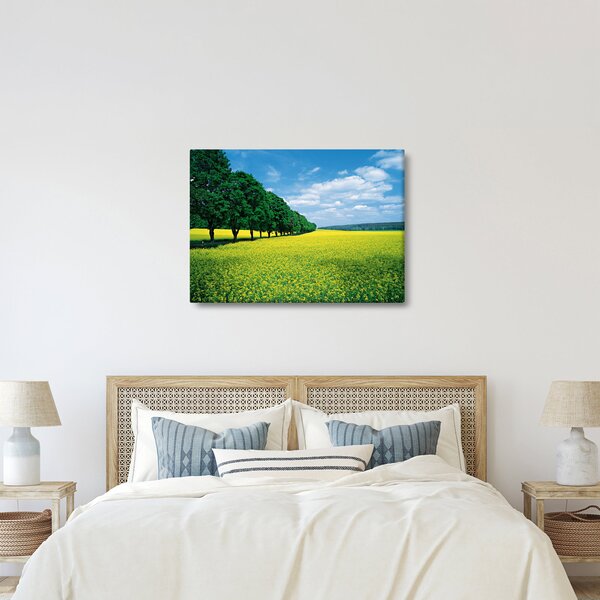 Slika polja z alejo (70x50 cm)