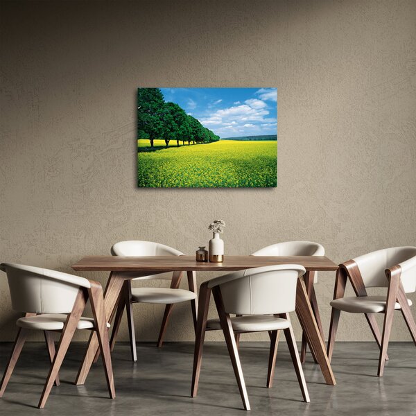 Slika polja z alejo (70x50 cm)