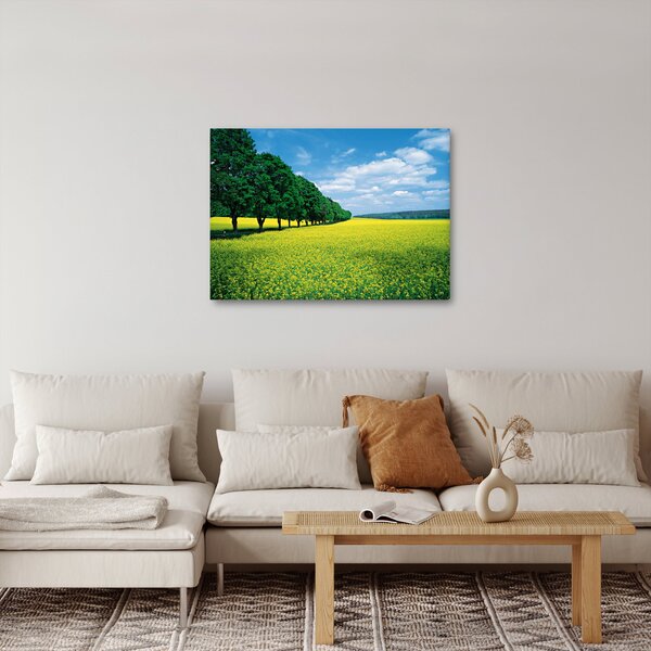 Slika polja z alejo (70x50 cm)
