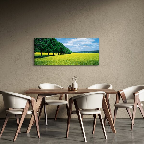 Slika polja z alejo (120x50 cm)