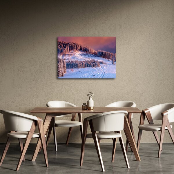 Slika zimske pokrajine (70x50 cm)