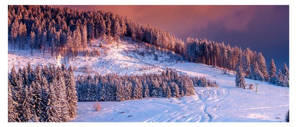 Slika zimske pokrajine (120x50 cm)