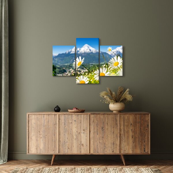 Slika - Pomlad v Alpah (90x60 cm)