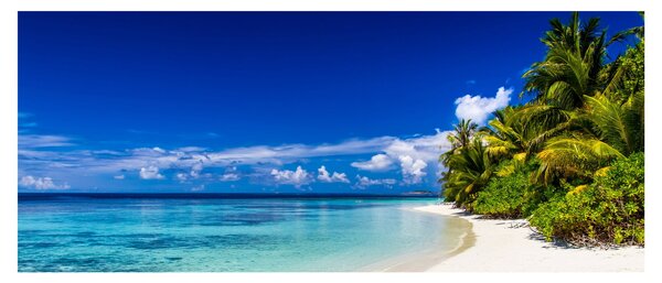 Slika tropske plaže (120x50 cm)