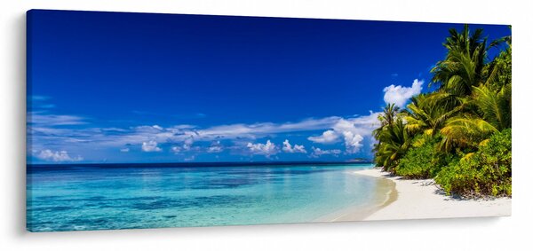 Slika tropske plaže (120x50 cm)