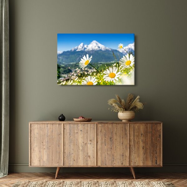 Slika - Pomlad v Alpah (90x60 cm)