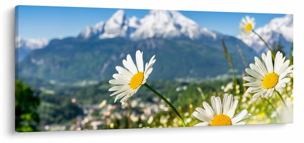 Slika - Pomlad v Alpah (120x50 cm)