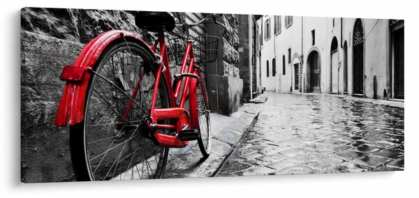 Slika rdečega kolesa na tlakovani ulici (120x50 cm)