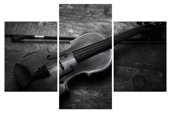 Slika - Viola (90x60 cm)