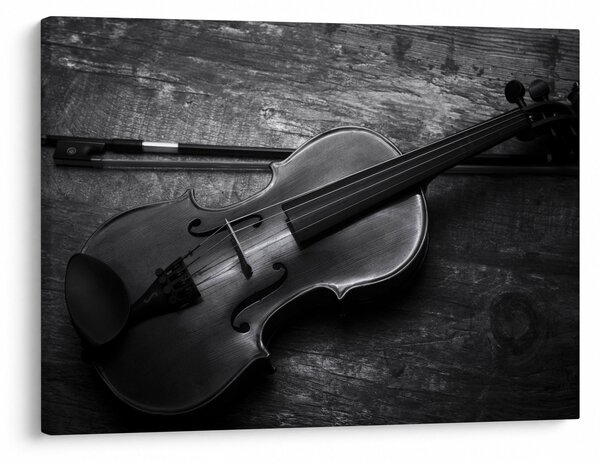 Slika - Viola (70x50 cm)