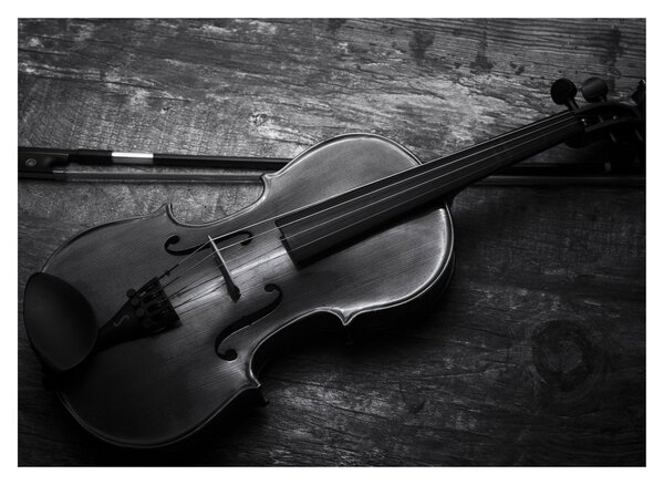 Slika - Viola (70x50 cm)
