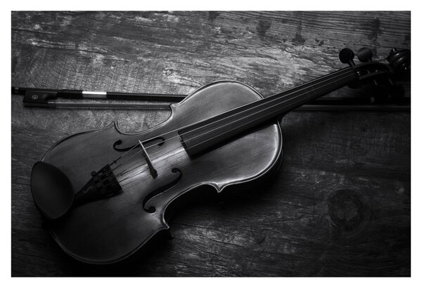 Slika - Viola (90x60 cm)