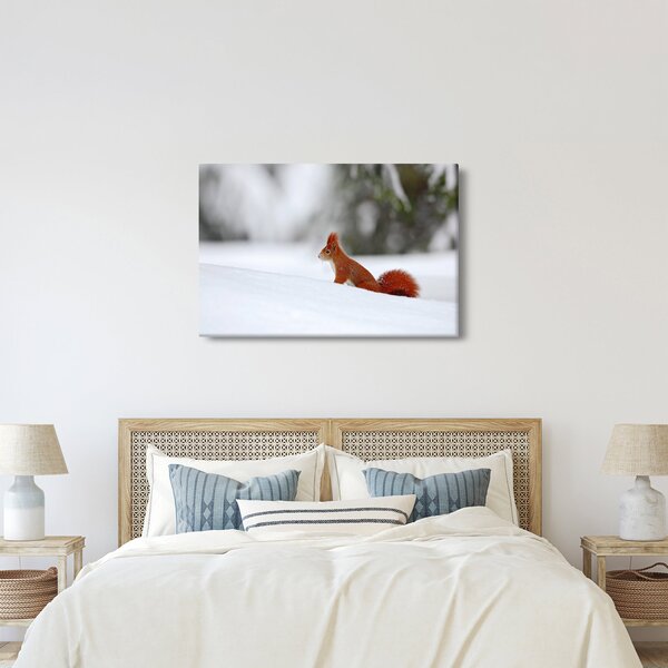 Podoba veverice (90x60 cm)