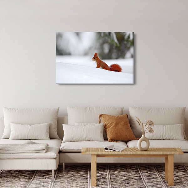 Podoba veverice (90x60 cm)