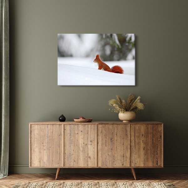 Podoba veverice (90x60 cm)