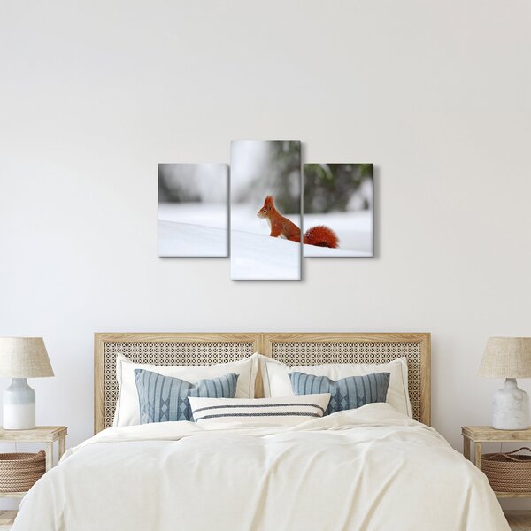 Podoba veverice (90x60 cm)