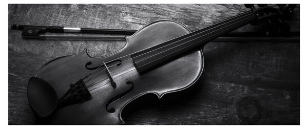 Slika - Viola (120x50 cm)