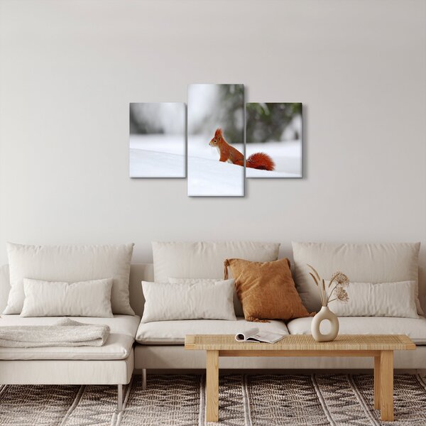 Podoba veverice (90x60 cm)