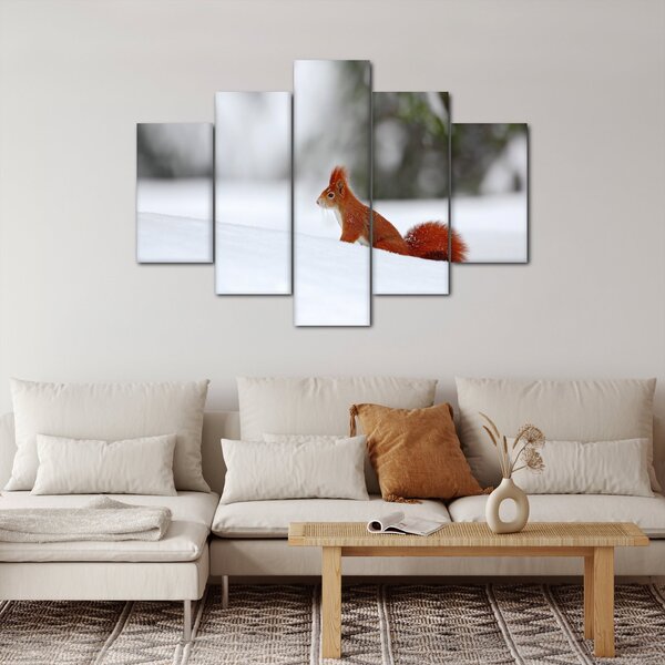 Podoba veverice (150x105 cm)