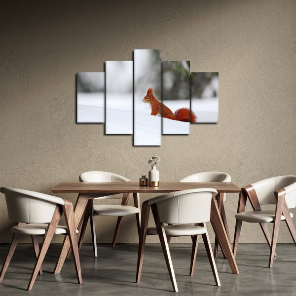 Podoba veverice (150x105 cm)