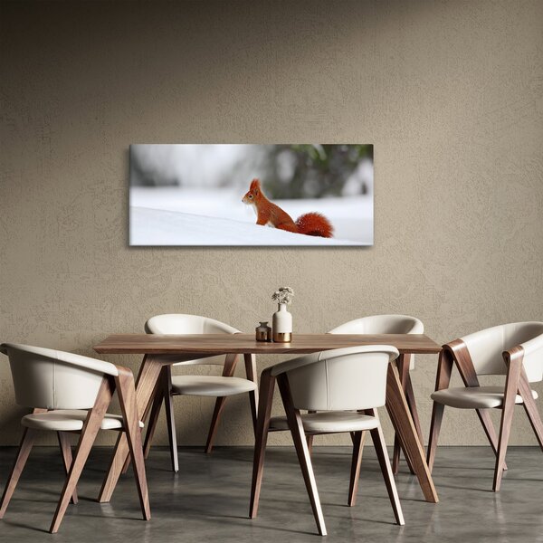 Podoba veverice (120x50 cm)