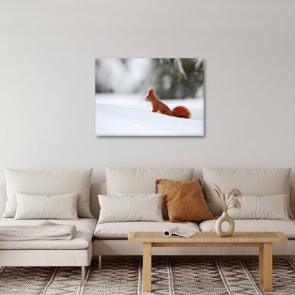 Podoba veverice (70x50 cm)