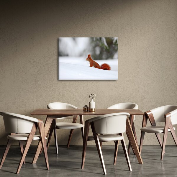 Podoba veverice (70x50 cm)