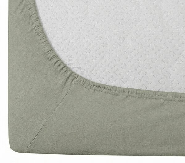Pamučna plahta s gumicom STANDARD 90 x 200 cm sivozelena