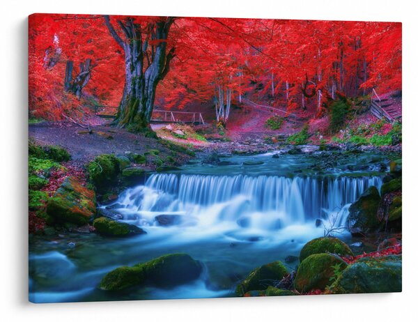 Slika slapa v rdečem gozdu (70x50 cm)